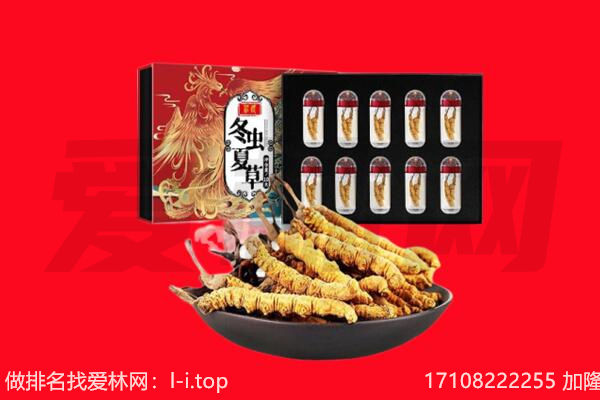 重庆秀山县回收虫草.jpg